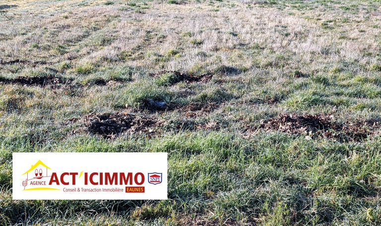 Cintegabelle, Joli Terrain agréable constructible de 542 m²