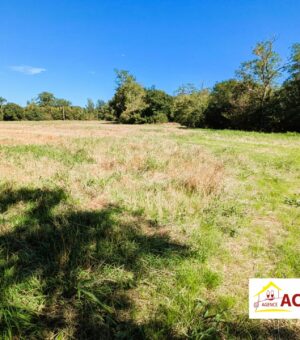 Labarthe sur leze, Rare Terrain 18331 m² dont 2860 m²  constructible proche centre ville