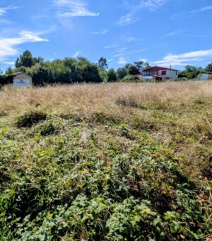 Terrain Labarthe sur Leze 1623 m² bien placé