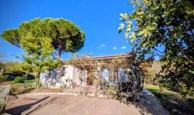 Cintegabelle charmante maison au coeur du Village avec jardin et garage