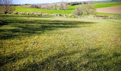 Gaillac Toulza, Terrain constructible de 1600 m² avec CU en cours de validité.