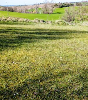 Gaillac Toulza, Terrain constructible de 1600 m² avec CU en cours de validité.