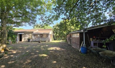 Eaunes, Ensemble immobilier de 2 Maisons et un terrain divisible d&rsquo;environ 5 800 m².